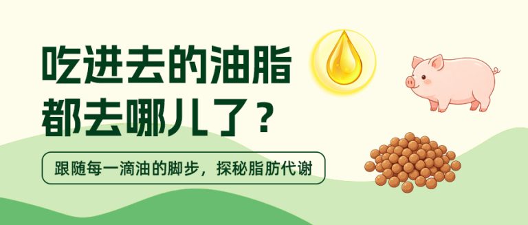 公众号首图