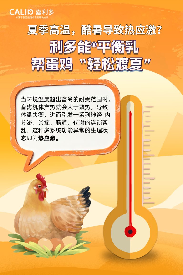 公众号首图2